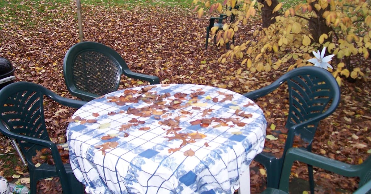 Homeowner comparing AI landscape planning and online design service options before starting a yard project